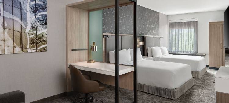 拉马祖港口春希尔套房酒店(SpringHill Suites Kalamazoo Portage)图片