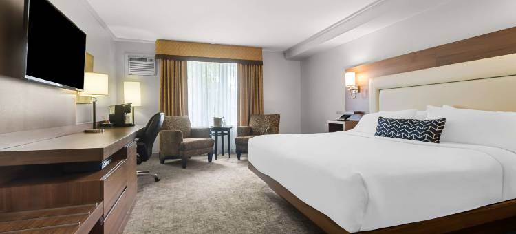 劳瑞尔山贝斯特韦斯特优质酒店(Best Western Plus Mont-Laurier)图片