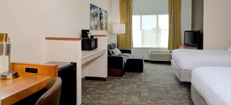 孟菲斯东部/商业街廊 SpringHill Suites 酒店(SpringHill Suites Memphis East/Galleria)图片