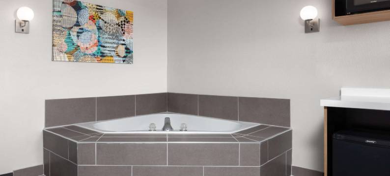 拉皮德城温德姆麦客达套房酒店(Microtel Inn & Suites by Wyndham Rapid City)图片