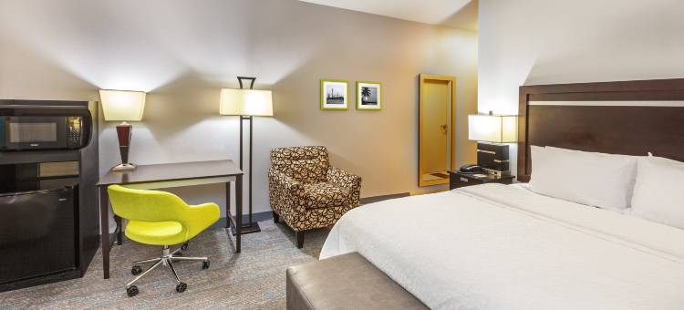 休斯顿/利格城欢朋套房酒店(Hampton Inn & Suites Houston/League City)图片