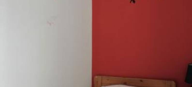 维鲁背包客旅舍(Viru Backpackers Hostel)图片