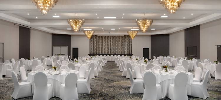 希尔顿逸林酒店金斯顿(DoubleTree by Hilton Kingston)图片