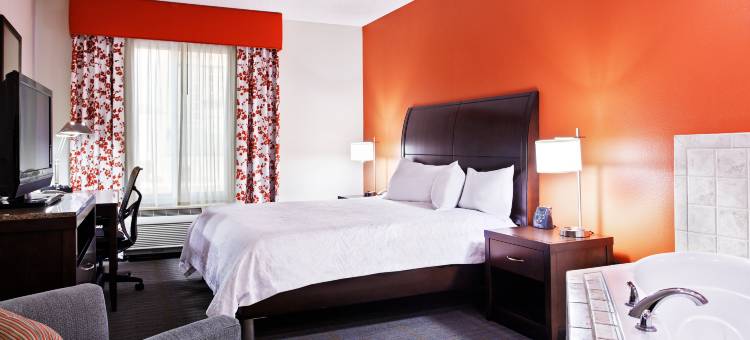 伊利诺斯普林菲尔德希尔顿花园酒店(Hilton Garden Inn Springfield, IL)图片