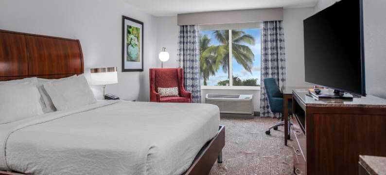 萨拉索塔布雷登顿机场希尔顿花园酒店(Hilton Garden Inn Sarasota-Bradenton Airport)图片