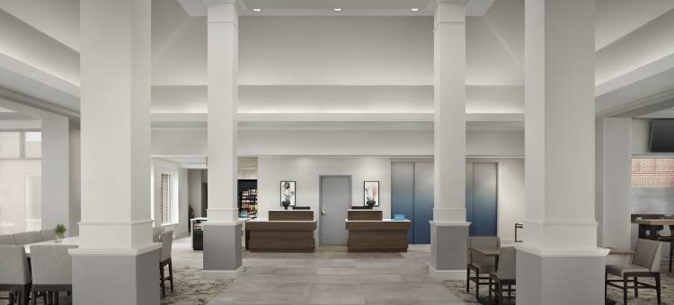 亚特兰大北约翰溪希尔顿花园酒店(Hilton Garden Inn Atlanta North/Johns Creek)图片