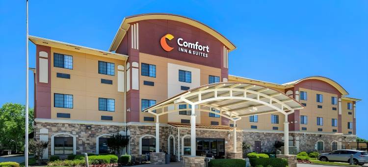 舒适套房酒店(Comfort Inn & Suites)图片