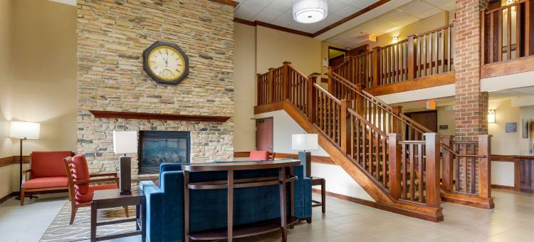 舒适套房酒店(Comfort Inn & Suites)图片