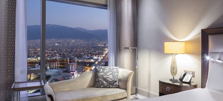 布尔萨会议中心希尔顿水疗酒店(Hilton Bursa Convention Center & Spa)图片