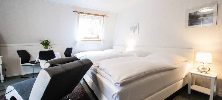 塞林佛秀斯酒店(Hotel Forsthaus Sellin)图片