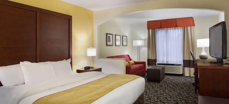 因斯布鲁克-舒特庞普舒适套房酒店(Comfort Suites Innsbrook - Short Pump)图片