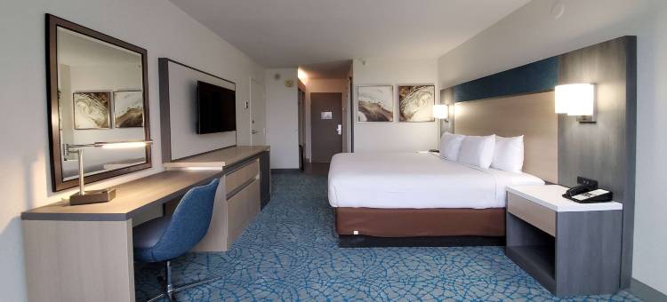 基西米公园假日酒店度假村(Holiday Inn Resort Kissimmee by the Parks)图片