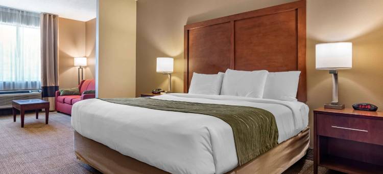 舒适酒店(Comfort Inn Amite)图片
