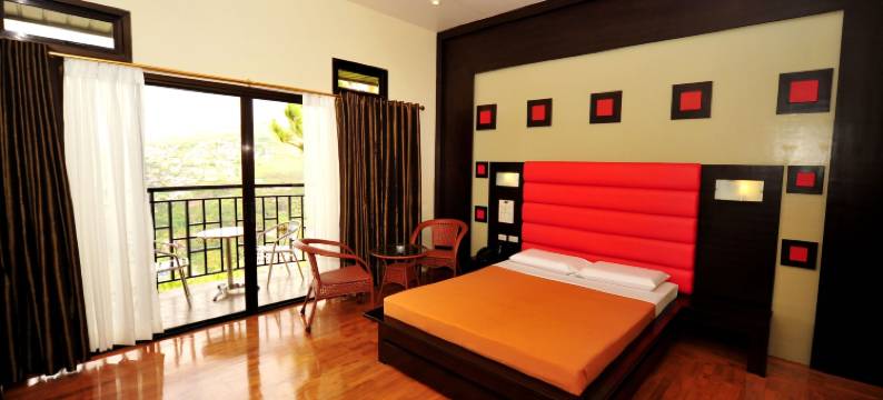 驶入好莱坞酒店(Hollywood Drive-in Hotel)图片