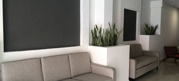 洛雷纳酒店(Hotel Lorena)图片