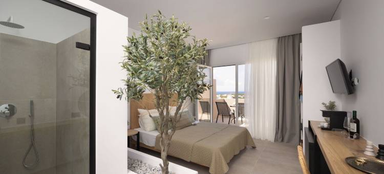 橄榄景观套房(Olive Vista Suites)图片