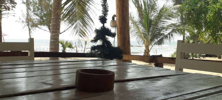亚拉波浪海滩度假村(Yala Waves Beach Resort)图片