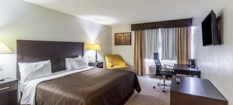 迈克艾伦机场附近凯隆酒店(Clarion Inn Near McAllen Airport)图片