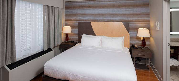 奥尔巴尼机场三部曲酒店-希尔顿启缤精选酒店(Hotel Trilogy Albany Airport, Tapestry Collection by Hilton)图片