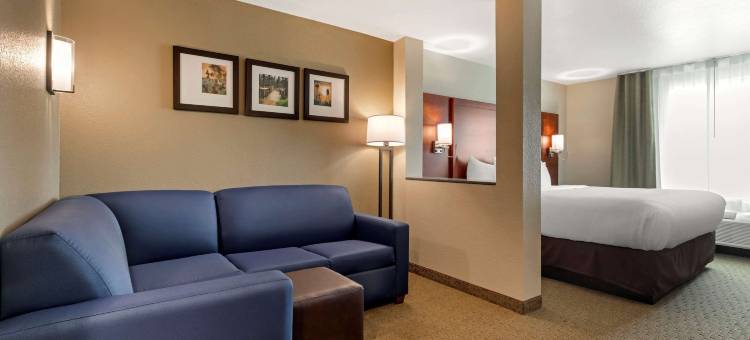 尤里斯舒适酒店客栈及套房(Comfort Inn & Suites Euless DFW West)图片