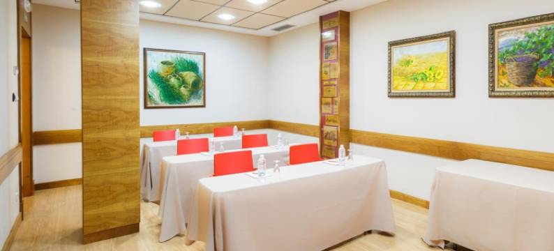 孔德斯代阿罗酒店(Hotel Condes de Haro)图片