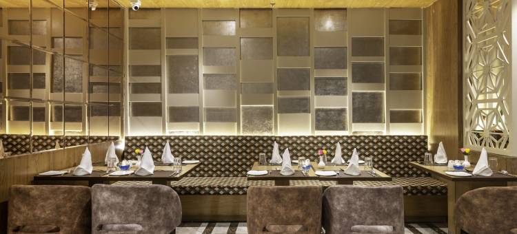 齐普尔领主旅馆(Lords Inn Jaipur)图片