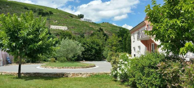 维涅区酒店(Hôtel le Domaine des Vignes Ampuis Lyon Sud Vienne)图片