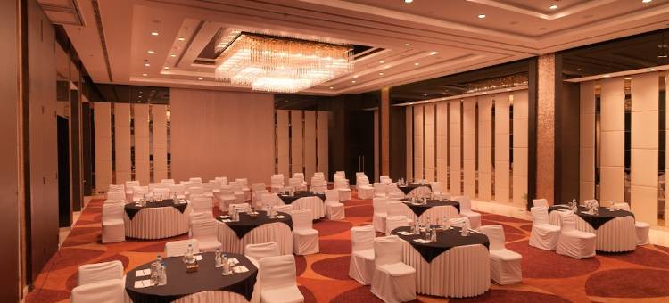 齐普尔通克路皇家兰花酒店(Hotel Royal Orchid Jaipur, Tonk Road)图片