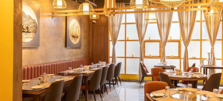 Benale International图片