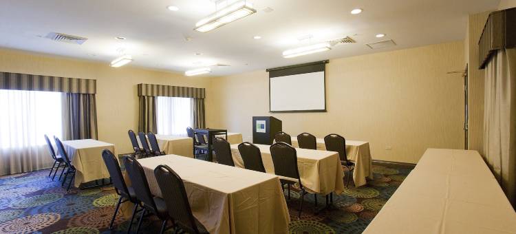 芝加哥迪尔菲尔德/林肯郡智选假日套房酒店(Holiday Inn Express & Suites Chicago-Deerfield/Lincolnshire)图片