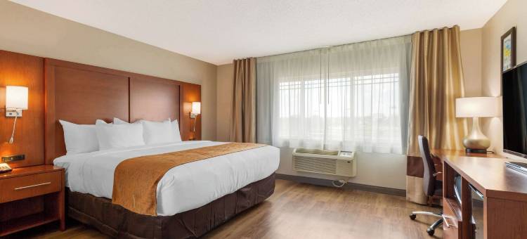 舒适套房酒店(Comfort Inn & Suites)图片