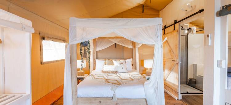 NRMA 菲利普岛海滨假日公园营地(Nrma Phillip Island Beachfront Holiday Park)图片