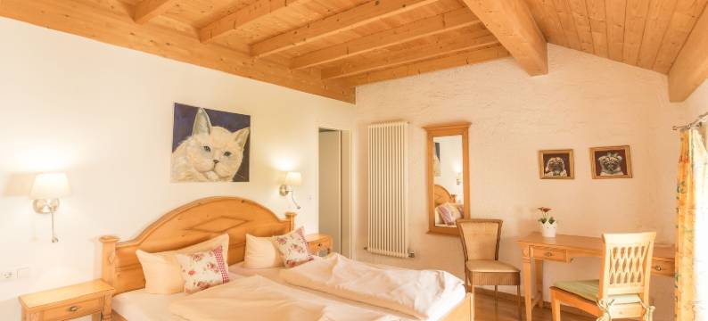 里安德酒店(Hotel Leander)图片