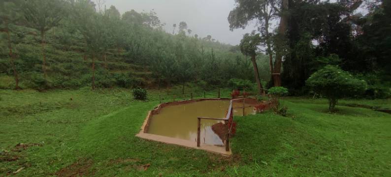 卢肖托行政旅馆(Lushoto Executive Lodge)图片