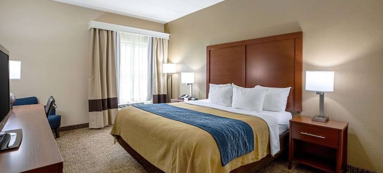 印地安纳波利斯北舒适酒店-卡梅尔(Comfort Inn Indianapolis North - Carmel)图片