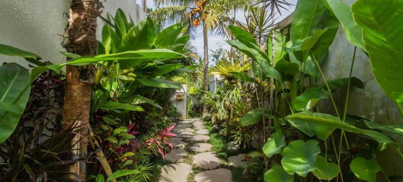 Reswaha别墅(Reswaha Villa by GenuineHost)图片