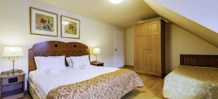 史泰格巴特尚道公寓酒店(Steiger Apparthotel Bad Schandau)图片