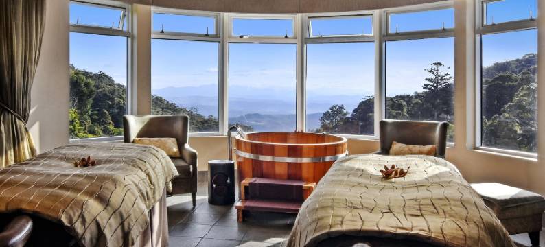 欧雷伊里雨林度假村(O'Reilly's Rainforest Retreat)图片