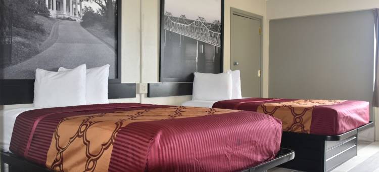 比洛克西温德姆速8酒店(Super 8 by Wyndham Biloxi)图片