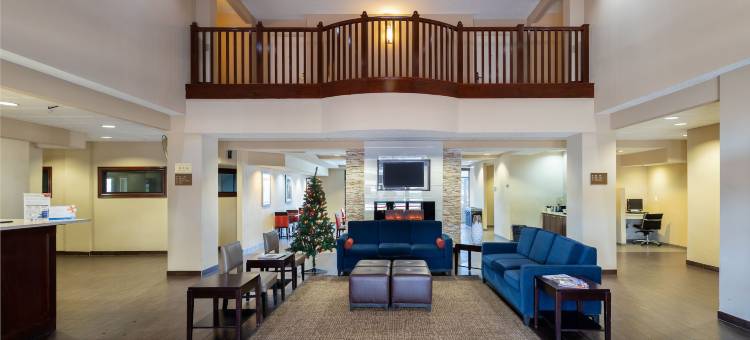 西南休斯顿舒格兰舒适套房酒店(Comfort Inn & Suites SW Houston Sugarland)图片
