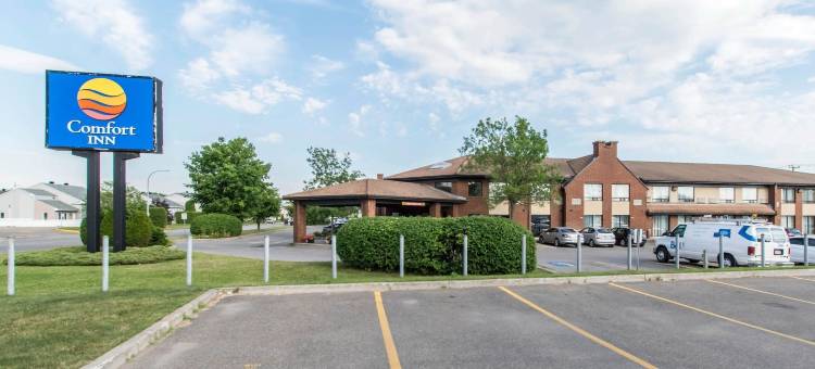 舒适酒店(Comfort Inn)图片