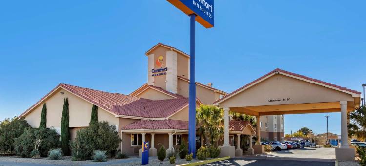 舒适套房酒店(Comfort Inn & Suites)图片