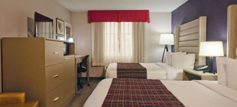 棕榈客栈和套房(The Palms Inn & Suites Miami, Kendall, FL)图片