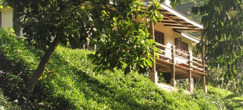 凯玛凯亚茶之小屋饭店(Kimakia Tea Cottages)图片