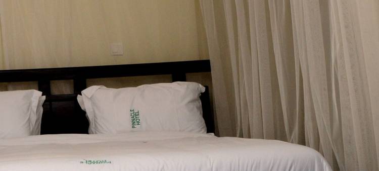 尖峰酒店(Pinnacle Hotel Mbarara)图片
