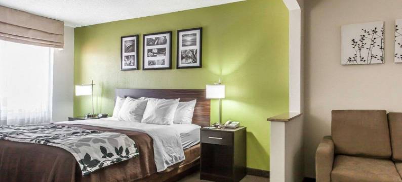 I-90 及阿什塔比拉区舒眠套房酒店(Sleep Inn & Suites Near I-90 and Ashtabula)图片