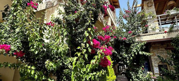 弗拉阿里亚尔(Vila Arial)图片