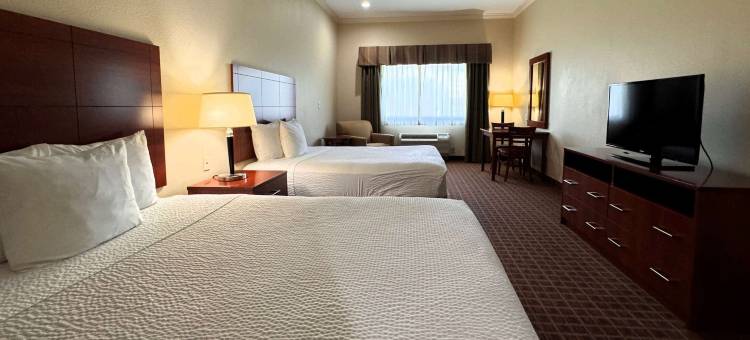 克利奇站华美达酒店(Ramada by Wyndham College Station)图片