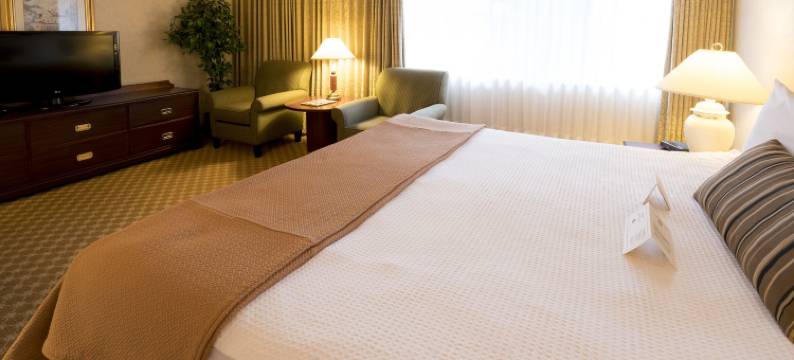 苏格兰皇家套房酒店(Royal Scot Hotel & Suites)图片