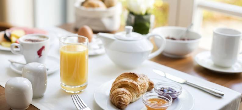 阿克泰尔卡斯特拉尼萨尔茨堡酒店(ARCOTEL Castellani Salzburg)图片